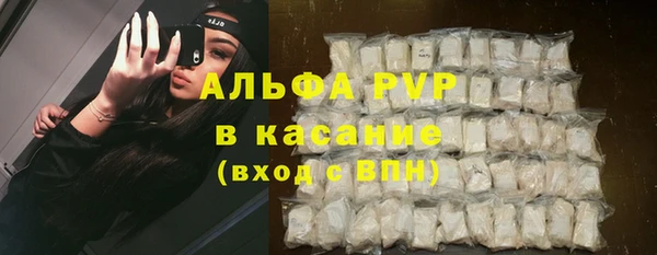 гидра Белокуриха