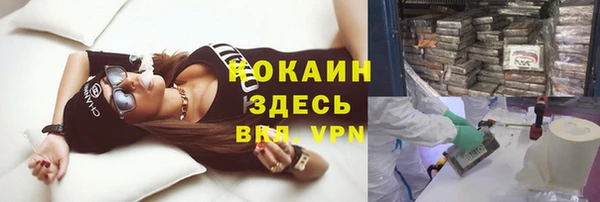 гидра Белокуриха