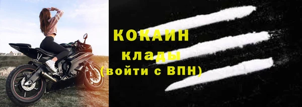 гидра Белокуриха