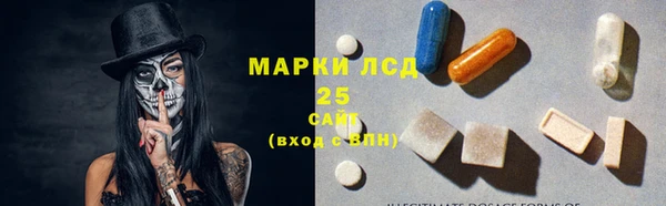 гидра Белокуриха