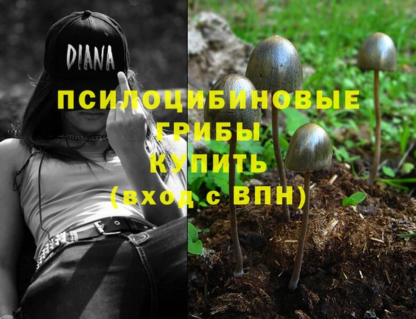 a pvp Беломорск