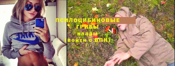героин Каменка