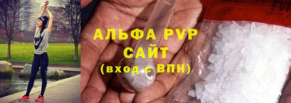 гидра Белокуриха