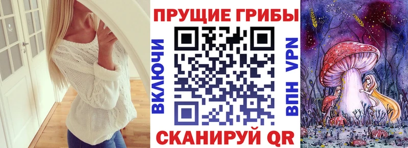 Галлюциногенные грибы MAGIC MUSHROOMS  где найти наркотики  Волчанск 